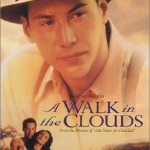 a walk in the clouds