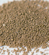 dry yeast granules