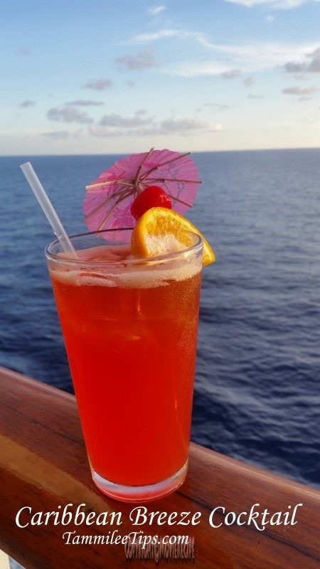 Caribbean-Breeze-Cocktail-Recipe-tammilee-tips