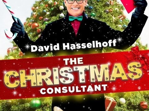The Christmas Consultant