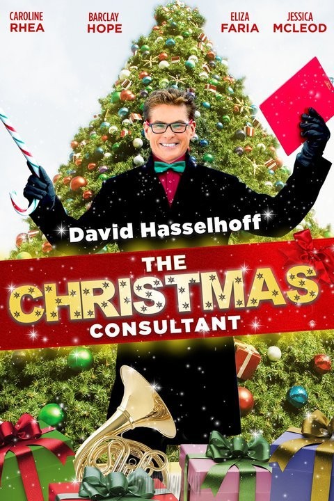 The Christmas Consultant