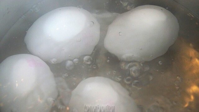 How to boils eggs
