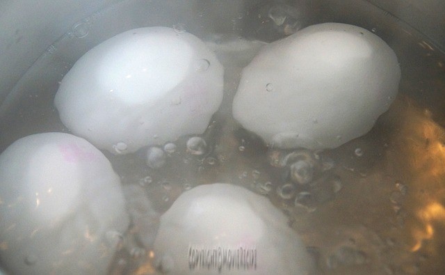 How to boils eggs
