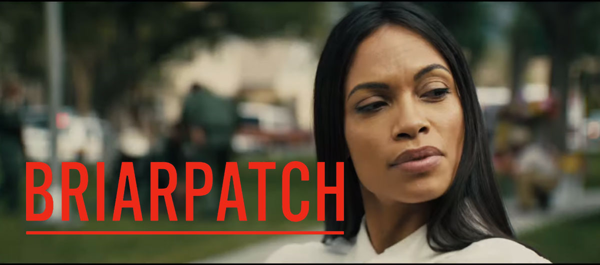 Briarpatch Series on USA