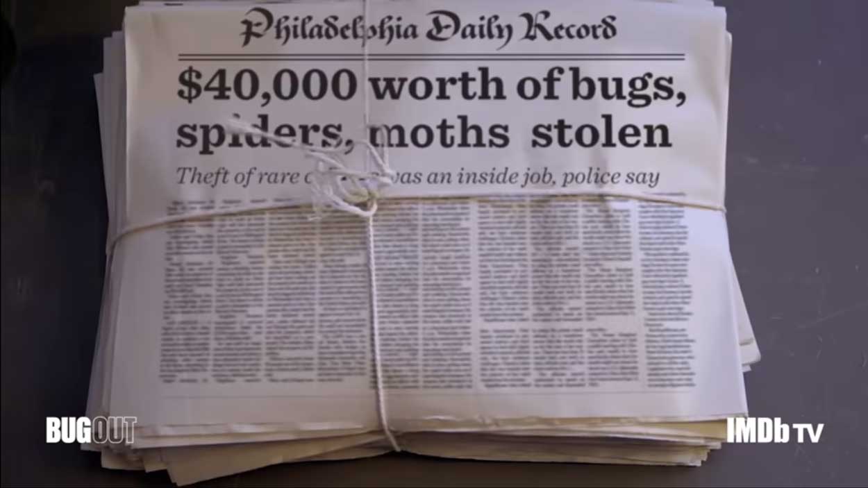 Bug Out (2022) IMDB TV True Crime Series