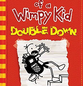 double down diarly of a wimpy kid summary