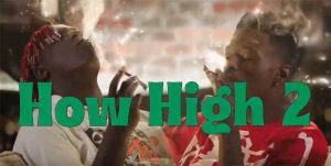 How High 2 Movie on MTV