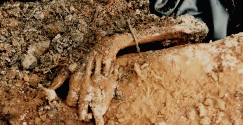 Manifesto of a Serial Killer Oxygen Series