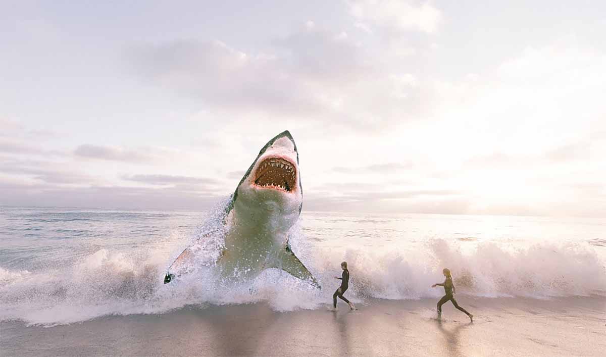 Shark Week 2023 with Jason Momoa: Full Schedule