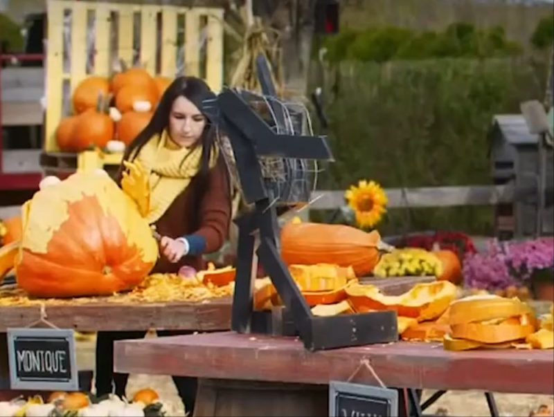 Outrageous Pumpkins on Discovery Plus