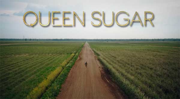 Queen Sugar Season 4 on OWN