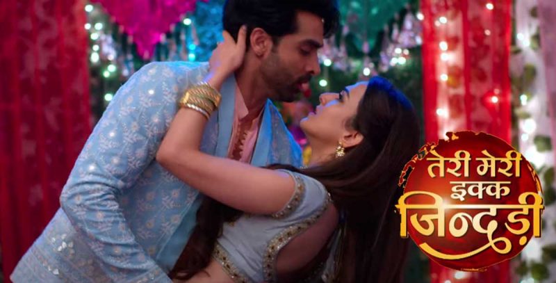 Teri Meri Ek Jindari Serial on Zee TV