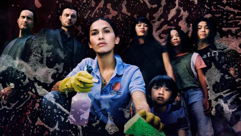 The Cleaning Lady Fox TV Show