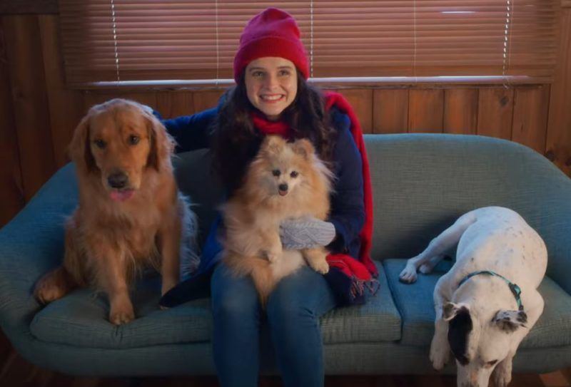 The Dog Days of Christmas movie on Lifetime Channel
