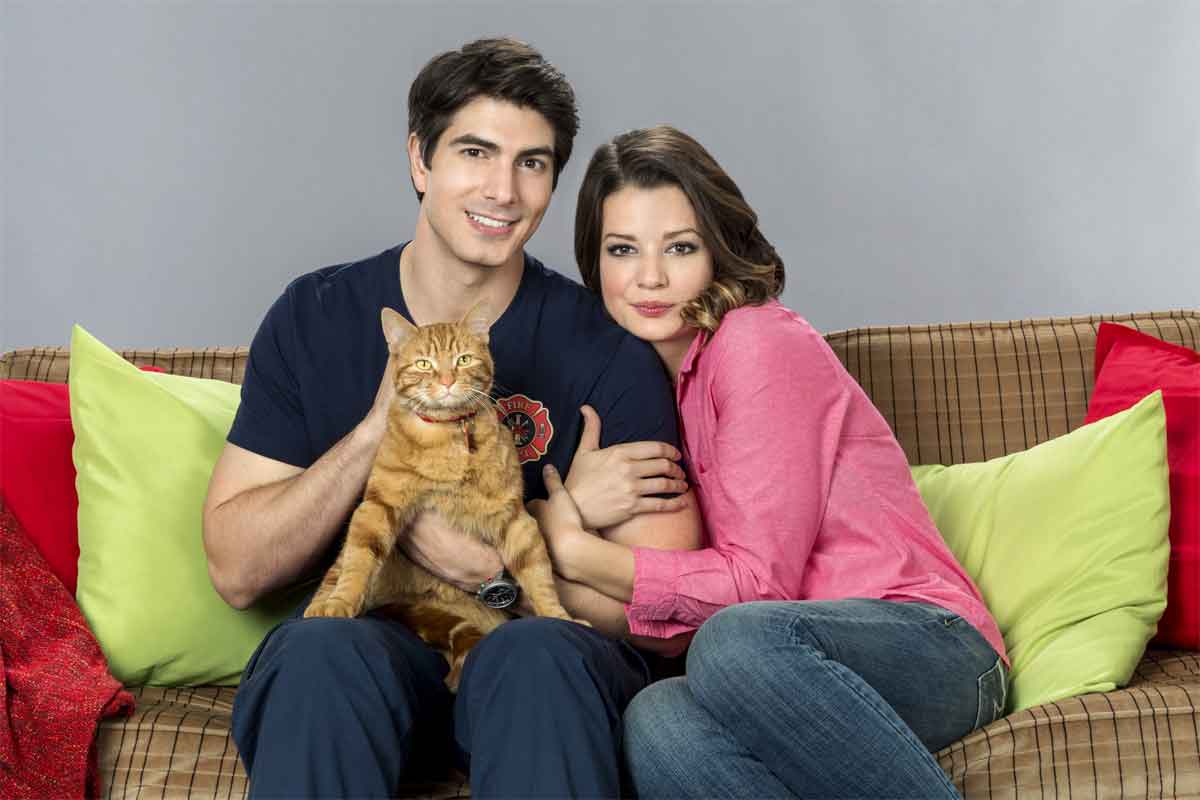 The Nine Kittens of Christmas Hallmark Movie