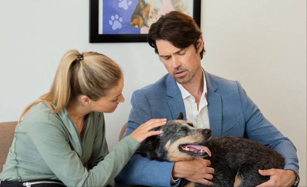 The Dog Lover’s Guide to Dating (2023) Comes to Hallmark