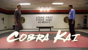 cobra kai series cast plot wiki youtube