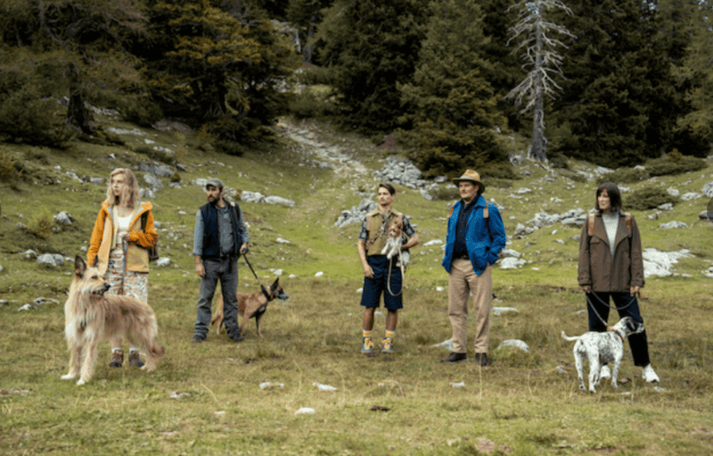 Eat, Pray Bark, the new original German comedy movie that is not about dogs.