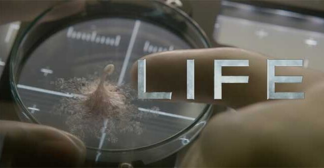 life movie reviews plot cast