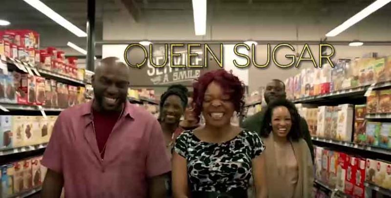 queen sugar season 3 - cast, plot wiki
