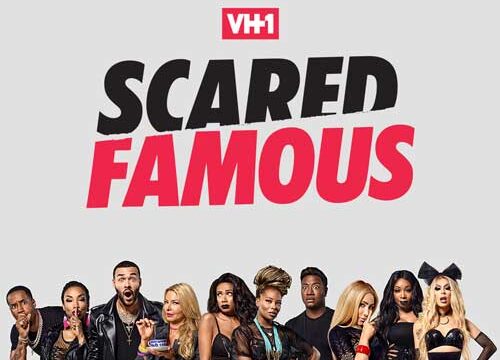 scared famous contestants format wiki